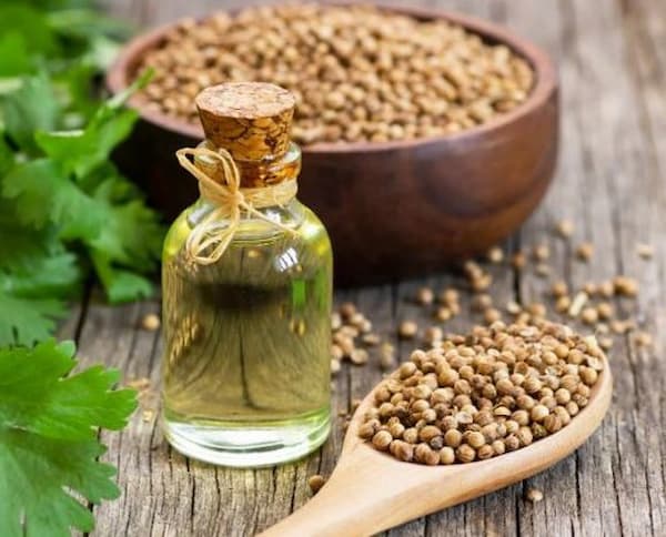تصویر 3 از قیمت خرید اسانس تخم گشنیز عمده به صرفه و ارزان